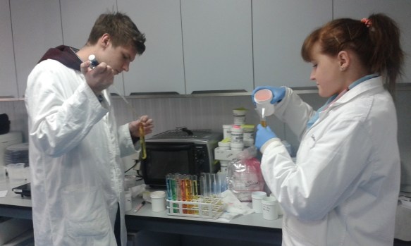 IiV-SBH-MTP-20150322-0411-05